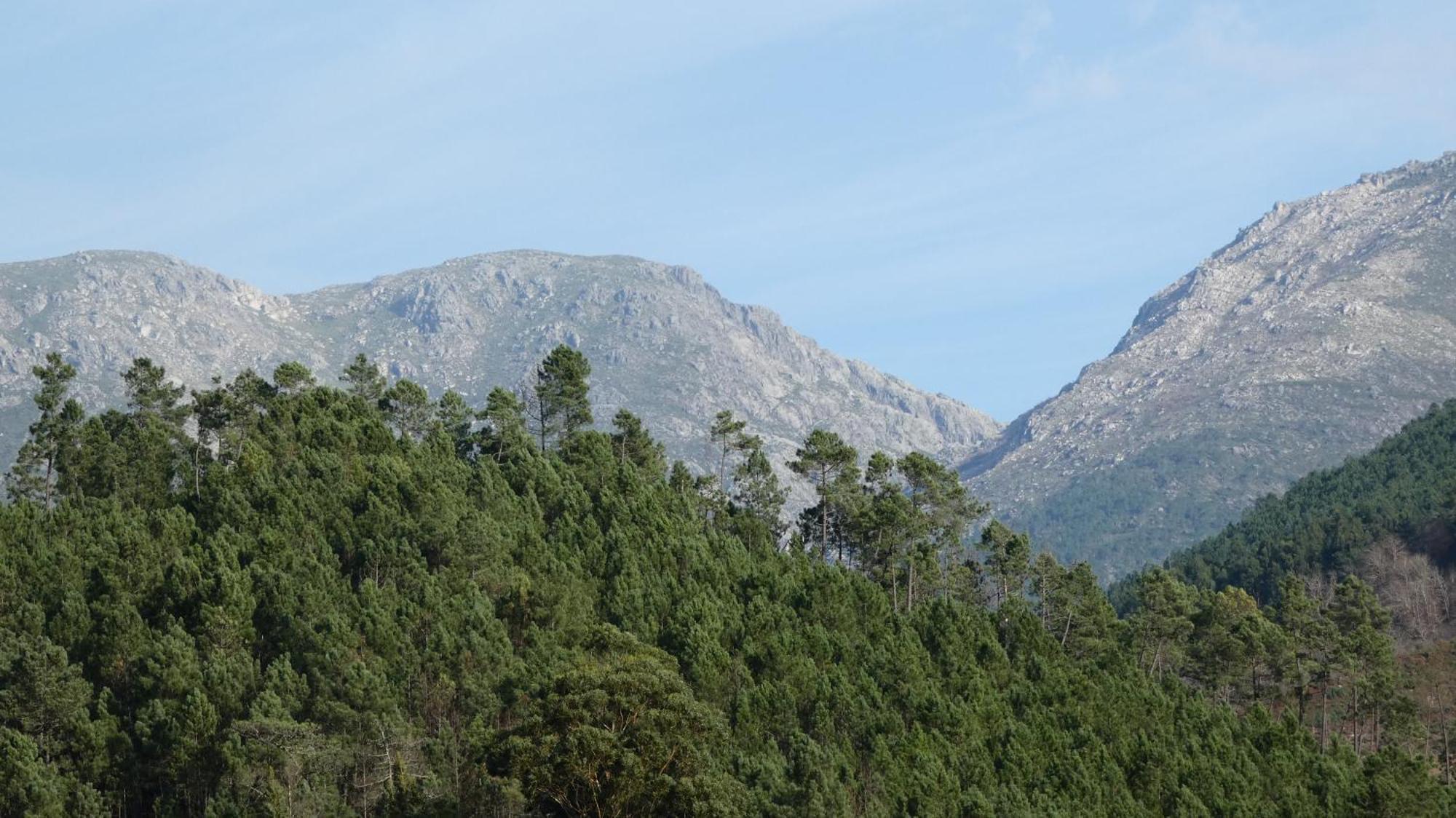 Varanda Do Brejo * Seia